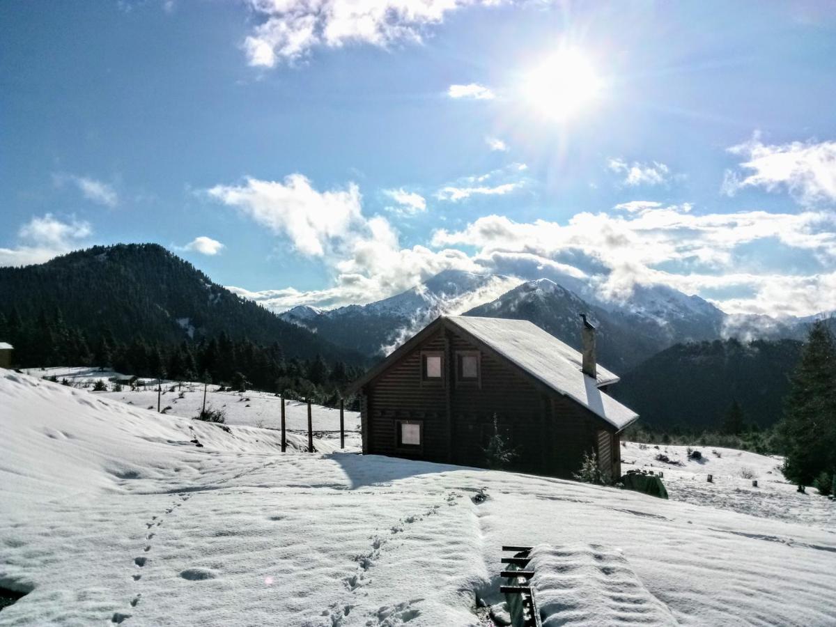 Katafygio Chalet, Krikello Kríkellon 外观 照片