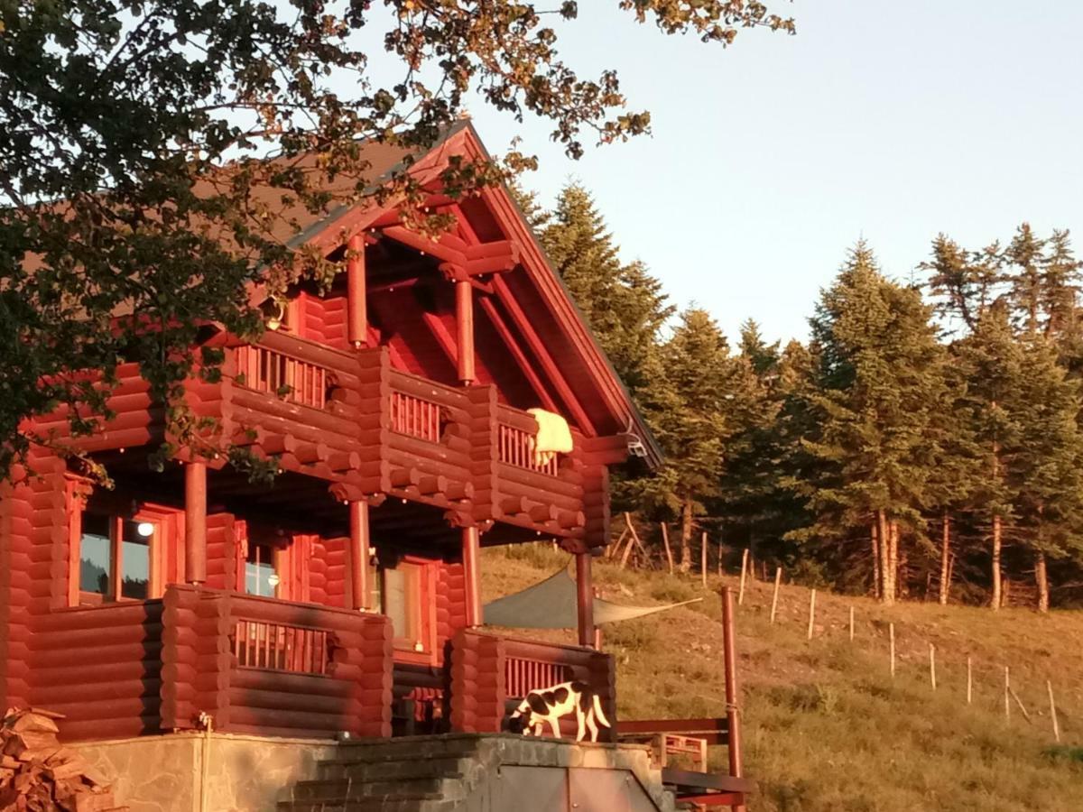 Katafygio Chalet, Krikello Kríkellon 外观 照片
